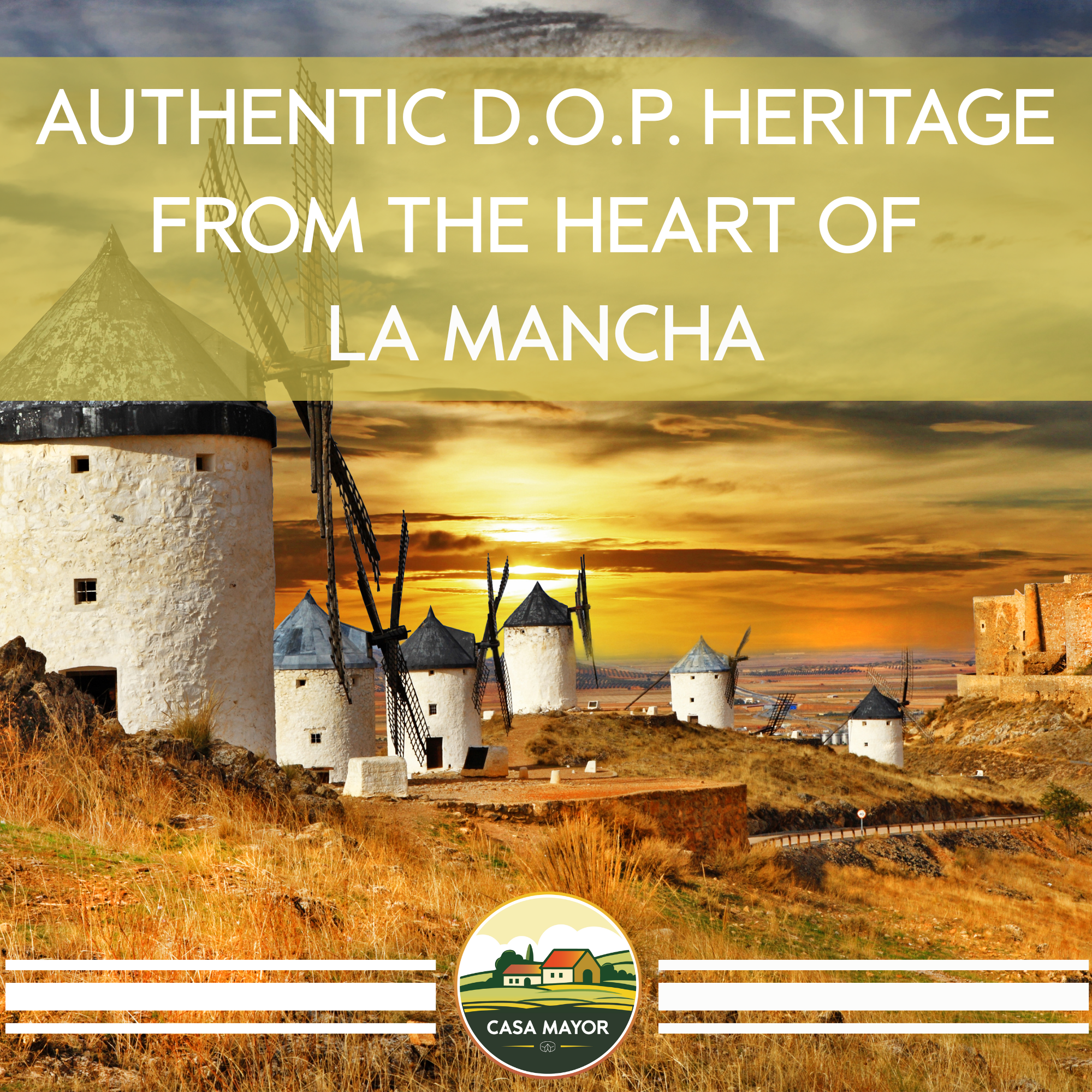 Manchego Cheese D.O.P – Approx. 1 lb Wheel – Aged 3 Months – Authentic Spanish Sheep’s Milk Cheese by Casa Mayor